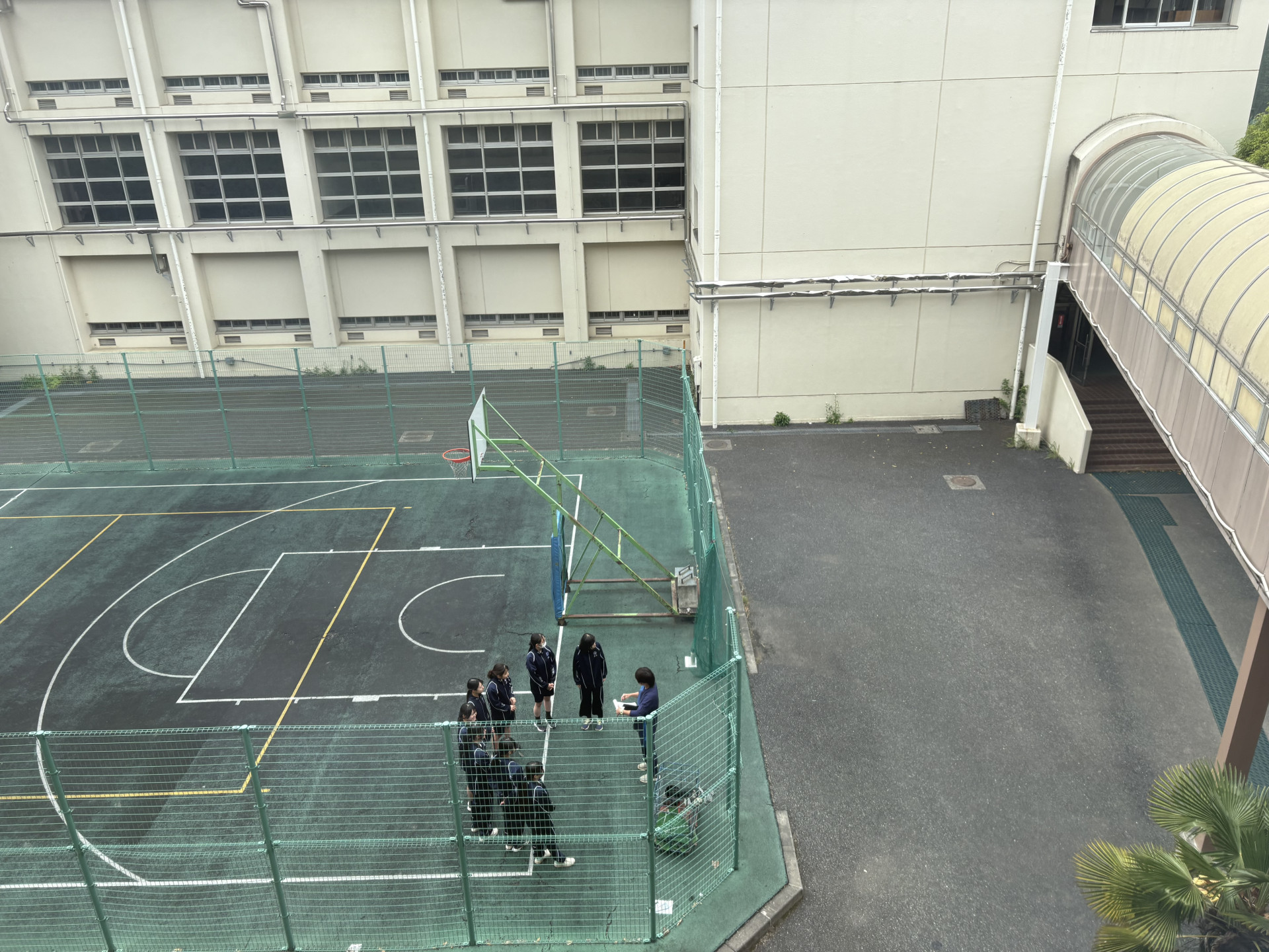 画像 -20260422-024359-a9fa4462